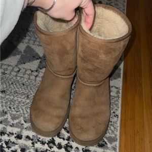 Chestnut uggs classic
